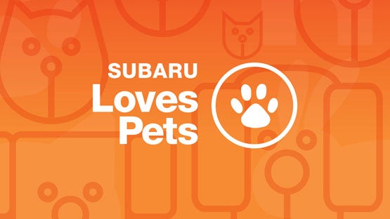 SubaruDemo3 in Salt Lake City UT